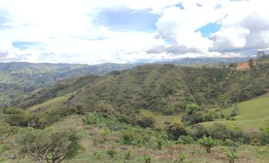 Venta de finca en el Peñol vereda el Salto