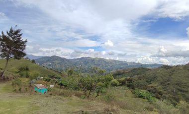 Venta de finca en el Peñol vereda el Salto