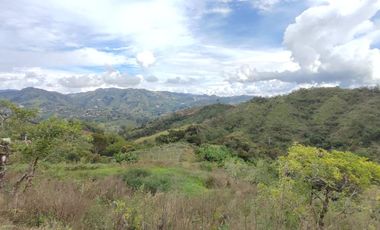 Venta de finca en el Peñol vereda el Salto