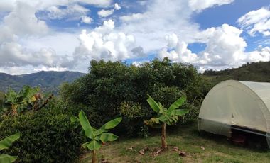 Venta de finca en el Peñol vereda el Salto