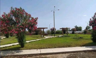 VENTA DE TERRENO EN PIMENTEL CHICLAYO