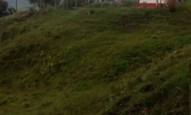 VENDO FINCA GANADERA Y AGRÍCOLA EN AMALFI ANTIOQUIA COLOMBIA.