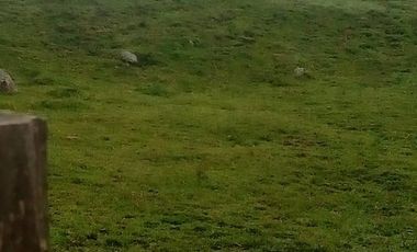 VENDO FINCA GANADERA Y AGRÍCOLA EN AMALFI ANTIOQUIA COLOMBIA.