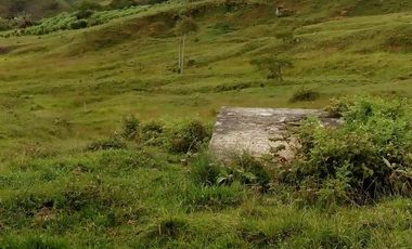 VENDO FINCA GANADERA Y AGRÍCOLA EN AMALFI ANTIOQUIA COLOMBIA.