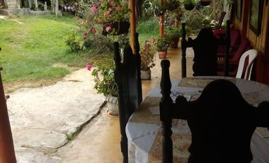 VENDO FINCA GANADERA Y AGRÍCOLA EN AMALFI ANTIOQUIA COLOMBIA.