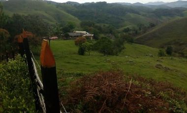 VENDO FINCA GANADERA Y AGRÍCOLA EN AMALFI ANTIOQUIA COLOMBIA.