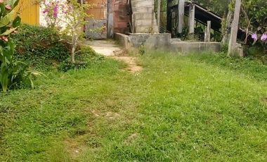 VENDO FINCA GANADERA Y AGRÍCOLA EN AMALFI ANTIOQUIA COLOMBIA.