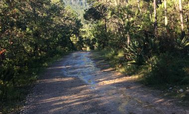 Quinta en venta en Arteaga Coahuila