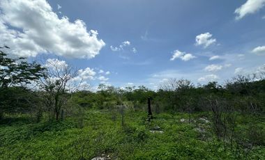 Venta de terreno en Yazkukul