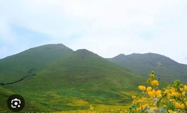 TERRENO en VENTA en PACHACAMAC