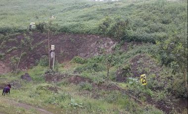 TERRENO en VENTA en PACHACAMAC
