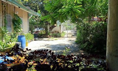 𝗛𝗼𝘂𝘀𝗲 𝗳𝗼𝗿 𝗦𝗮𝗹𝗲 𝗶𝗻 𝗣𝗼𝗯𝗹𝗮𝗰𝗶𝗼𝗻 𝗖𝗼𝗺𝗽𝗼𝘀𝘁𝗲𝗹𝗮 𝗖𝗲𝗯𝘂‼️