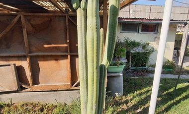 ¡Gran Casa Familiar con Dos Departamentos Independientes para Inversión en La Calera!