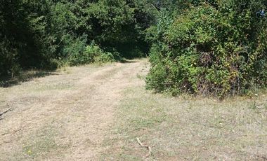 VENDO CAMPO DE 51 HÁS A 4 KMS DE ANTUCO IDEAL PARA TURISMO