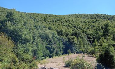 VENDO CAMPO DE 51 HÁS A 4 KMS DE ANTUCO IDEAL PARA TURISMO
