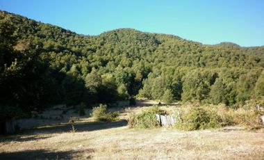 VENDO CAMPO DE 51 HÁS A 4 KMS DE ANTUCO IDEAL PARA TURISMO