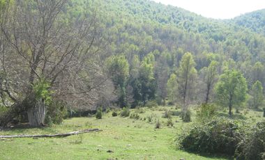 VENDO CAMPO DE 51 HÁS A 4 KMS DE ANTUCO IDEAL PARA TURISMO
