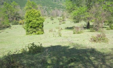 VENDO CAMPO DE 51 HÁS A 4 KMS DE ANTUCO IDEAL PARA TURISMO