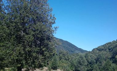 VENDO CAMPO DE 51 HÁS A 4 KMS DE ANTUCO IDEAL PARA TURISMO