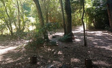 VENDO CAMPO DE 51 HÁS A 4 KMS DE ANTUCO IDEAL PARA TURISMO