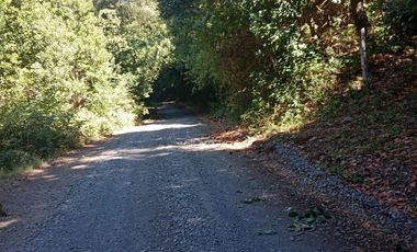 VENDO CAMPO DE 51 HÁS A 4 KMS DE ANTUCO IDEAL PARA TURISMO