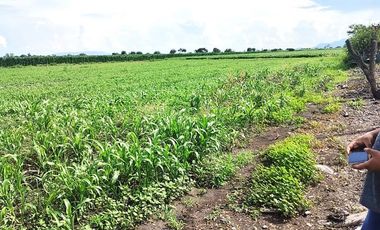 Vendo terreno de 8,900m en San Cristobal