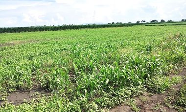Vendo terreno de 8,900m en San Cristobal