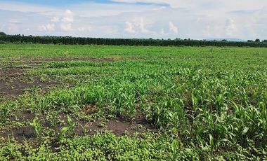 Vendo terreno de 8,900m en San Cristobal