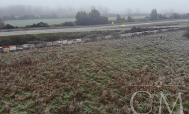 Terreno orilla de Carretera en Paillaco