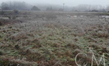 Terreno orilla de Carretera en Paillaco