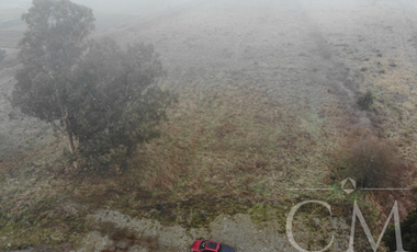 Terreno orilla de Carretera en Paillaco