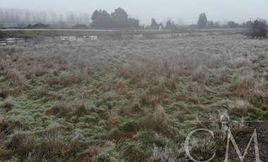 Terreno orilla de Carretera en Paillaco
