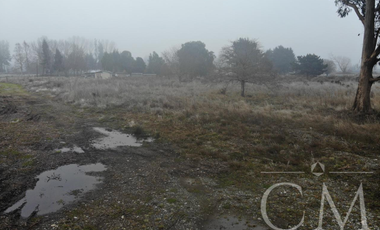 Terreno orilla de Carretera en Paillaco