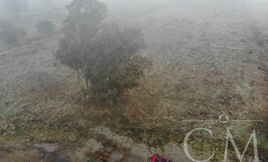 Terreno orilla de Carretera en Paillaco