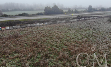 Terreno orilla de Carretera en Paillaco
