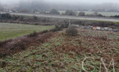 Terreno orilla de Carretera en Paillaco