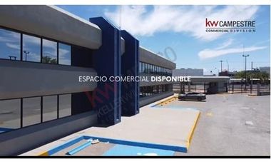 EDIFICIO UN PISO EN VENTA OFICINAS CORPORATIVAS, AV. P ELÍAS CALLES, JUÁREZ CHIH.
