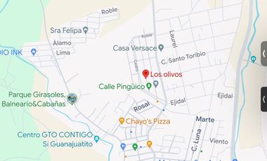 CASA EN VENTA EN LA COL. LOS OLIVOS, PURÍSIMA DE BUSTOS, GUANAJUATO