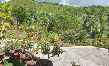 HOUSE AND LOT FOR SALE SIQ00140
