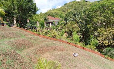 HOUSE AND LOT FOR SALE SIQ00140