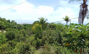 HOUSE AND LOT FOR SALE SIQ00140