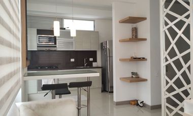 Apartaestudio amoblado en arriendo en Alto Prado.