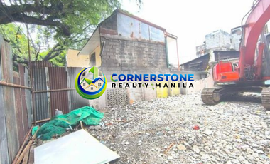 Commercial Lot For Sale in Quirino Ave Pandacan Manila