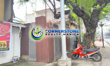 Commercial Lot For Sale in Quirino Ave Pandacan Manila