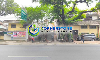 Commercial Lot For Sale in Quirino Ave Pandacan Manila