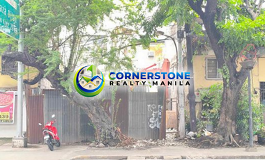 Commercial Lot For Sale in Quirino Ave Pandacan Manila