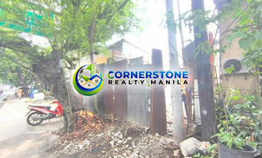 Commercial Lot For Sale in Quirino Ave Pandacan Manila