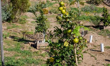 Venta de parcela de 5.000 m2 con casa amoblada, a 15 minutos de Ovalle. $ 65 millones
