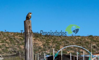 Venta de parcela de 5.000 m2 con casa amoblada, a 15 minutos de Ovalle. $ 65 millones