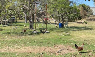 Terreno con Uso de Suelo Ideal para Cualquier Desarrollo